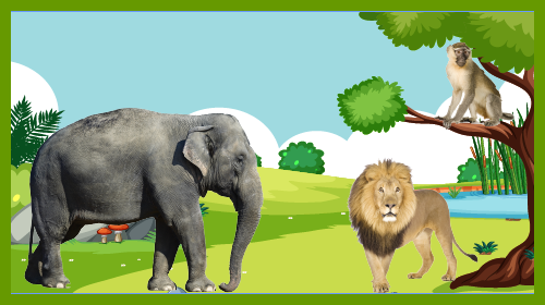 Animal Adjectives