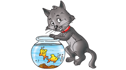 The Cat and the Goldfish