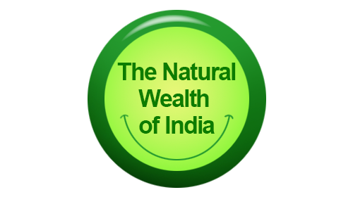 The Natural Wealth of India